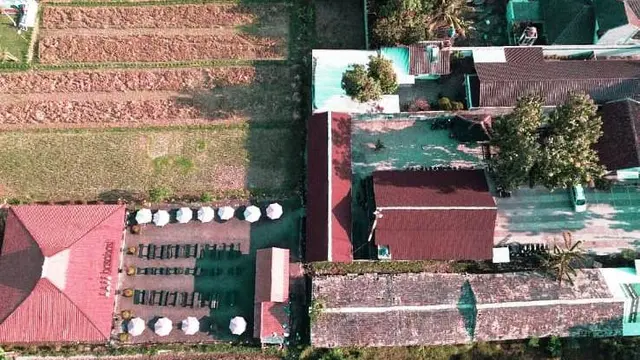 3 Kafe di Sleman Tawarkan Sensasi Nongkrong Seru di Tepian Sawah