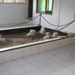 Makam Mbah Ma'shum, ulama besar NU kelahiran Desa Tinatah, Kecamatan Kragan, Kabupaten Rembang. (Liputan6.com/ Ahmad Adirin)