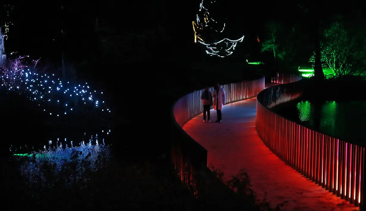 Pengunjung berjalan melewati jembatan yang dihiasi cahaya berwarna di Kew Gardens, London (21/11). Banyak orang berkunjung ke tempat ini untuk menikmati malam yang penuh cahaya atau sekedar untuk berfoto. (AP Photo/Frank Augstein)