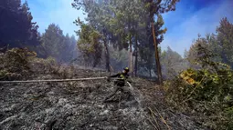 Sekitar dua puluh kebakaran hutan membuat Bogota dan beberapa wilayah Kolombia dalam keadaan siaga. (Luis ACOSTA/AFP)
