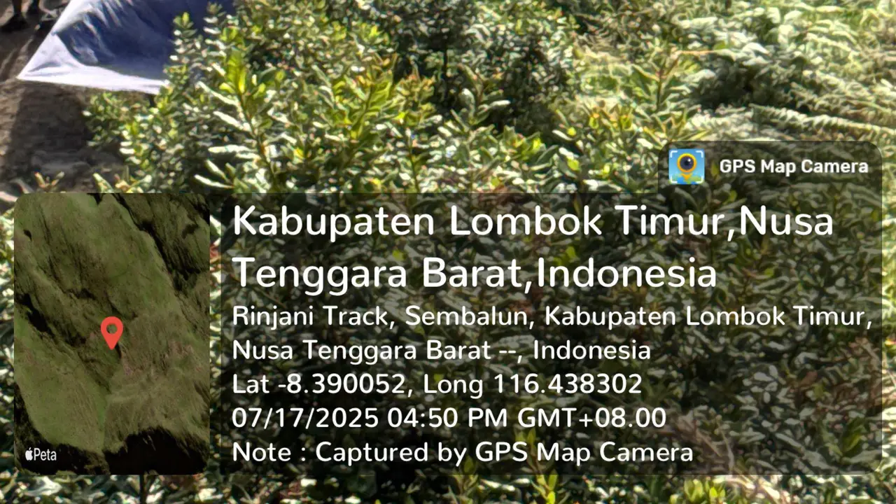 Wisatawan Belanda Jatuh di Gunung Rinjani Selang Sehari dari Turis Swiss, Alami Patah Leher