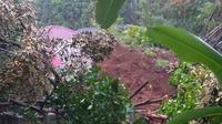 Longsor di Desa Sawangan, Banjarnegara, menyebabkan satu orang meninggal dunia dan dua lainnya luka-luka. (Foto: SRU RAPI Banjarnegara/Liputan6.com)