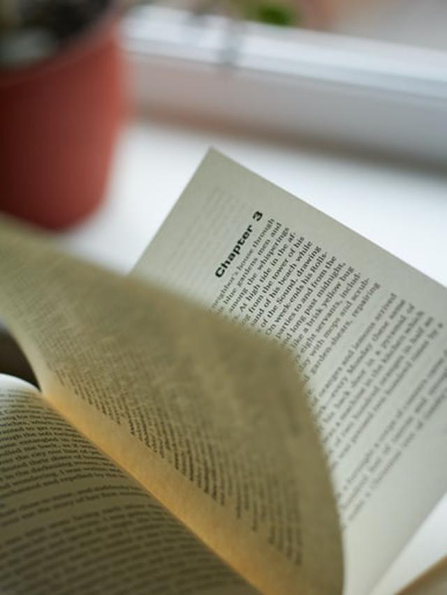 Kutipan Novel Memoirs of a Geisha Bagian IV