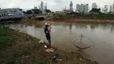 Warga mencari ikan dengan menggunakan jala di Banjir Kanal Barat, Tanah abang, Jakarta, Sabtu (4/1/2020). Debit air yang mulai surut di aliran tersebut dimanfaatkan warga untuk mencari ikan. (Liputan6.com/Angga Yuniar)