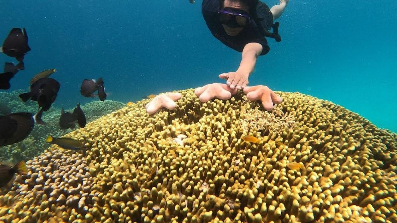 Menikmati Matahari Selat Bali hingga Jalan Menuju Pulau Eksotis, Keindahan Kawasan Grand Watudodol Banyuwangi Ini Sayang Dilewatkan