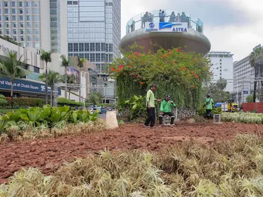 Petugas Dinas Pertamanan dan Hutan Kota Provinsi DKI Jakarta menaikkan tanaman hias yang rusak ke truk di kawasan Bundaran HI, Jakarta, Senin (1/1/2024). Sejumlah tanaman di kawasan Bundaran HI rusak akibat terinjak-injak pada perayaan malam Tahun Baru 2024. (merdeka.com/Arie Basuki)