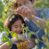 Ilustrasi/copyrightshutterstock/Ronnachai Palas