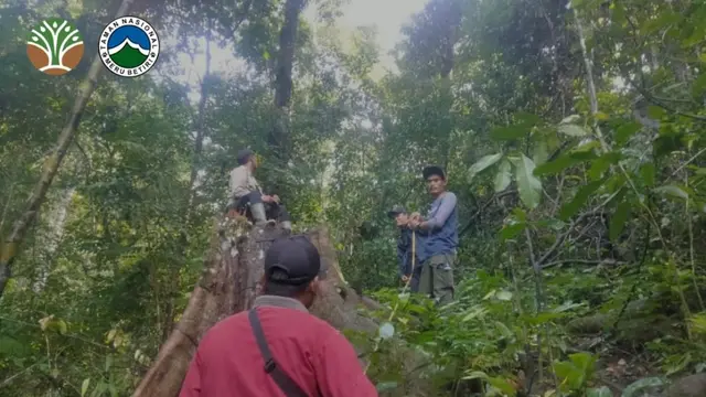 Pelaku Perburuan Satwa Liar di Kawasan Konservasi TN Meru Betiri Diamankan Gakkum Kehutanan. (Dokumen: Gakkum Kehutanan)