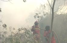 Tangani Hoaks Seputar Karhutla, Pemprov Sumsel Bakal Aktifkan Media Center