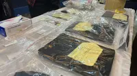 Dari 13 Barang Bukti yang Diteliti hanya Ditemukan DNA Arya Daru, Tak Ada Milik Orang Lain