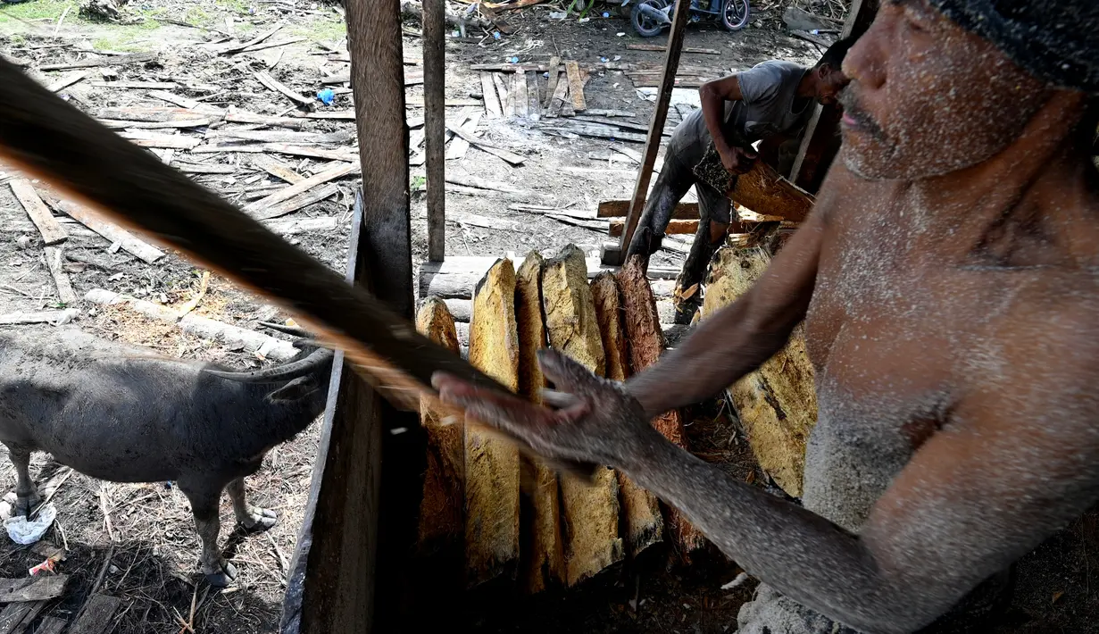 Pekerja mengolah bahan dari pohon sagu di sebuah desa di Labuhan Haji, provinsi Aceh selatan (26/10/2021). Pohon Sagu, atau Rumbia, banyak tumbuh di berbagai wilayah di Indonesia. (AFP/Chaideer Mahyuddin)
