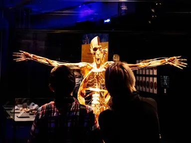 Pengunjung melihat salah satu karya seni yang dipajang dalam pameran anatomi tubuh manusia bertajuk 'Body Worlds' di Moskow, Rusia (24/3/2021). Pameran ini digagas oleh ahli anatomi asal Jerman, Gunther von Hagens. (AFP/Dimitar Dilkoff)