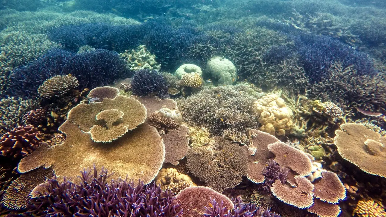 3 Obyek Wisata Ini Tengah Jadi Fokus Pengembangan Kutai Timur