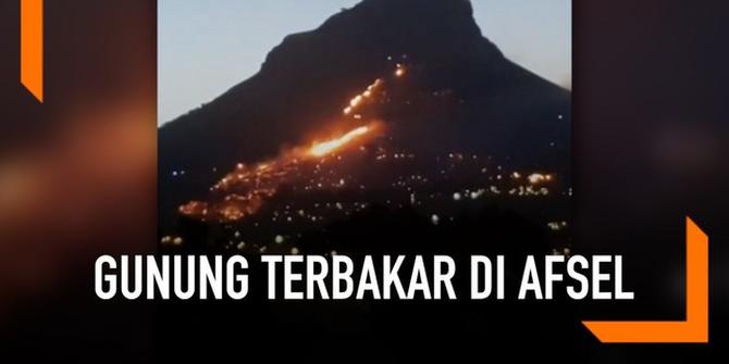 VIDEO: Kebakaran Gunung Lion's Head di Afsel