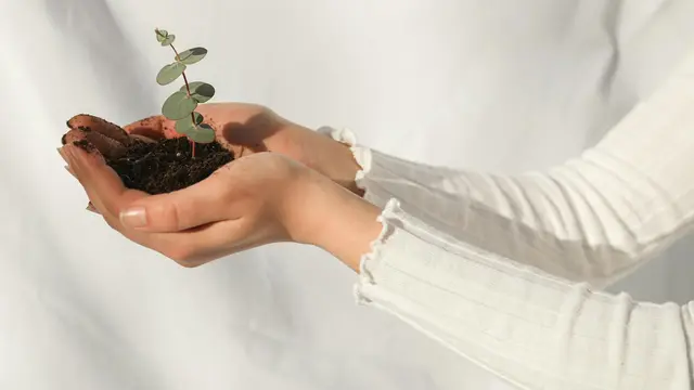 Personal Growth