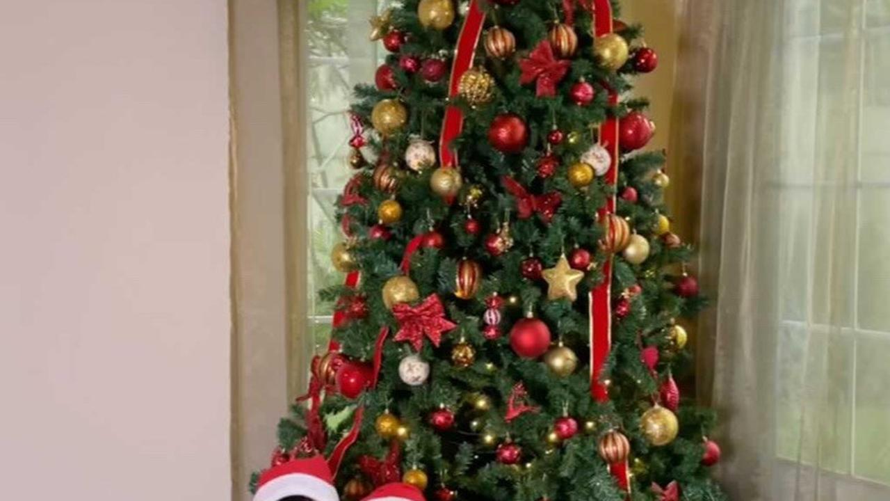 Sisca awalnya merahasiakan kehamilannya dari publik. Kecurigaan netizen muncul pada Desember 2022 saat Sisca membuat konten natal. Ia menyebut dirinya dan Jess dengan panggilan Mama Papa.