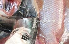 Cara Hilangkan Bau Tanah Ikan Patin Saat Dimasak dengan Mudah, Cuma Butuh 2 Bahan Dapur