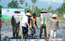 Pemkab Sigi Tanam Perdana Program Cetak Sawah Baru Sigi, Dukung Swasembada Pangan Nasional