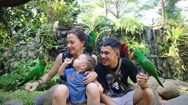 [Bintang] Dahlia Poland