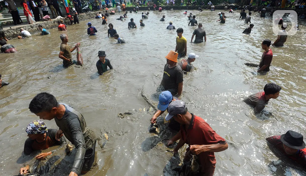Acara Ngubek Empang merupakan tradisi yang dilakukan oleh orang tua terdahulu tiga atau empat hari sebelum Lebaran. Ikan yang didapat tak lain untuk menu di Hari Lebaran. (merdeka.com/Arie Basuki)