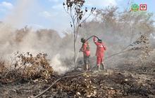 Manggala Agni Tangani Karhutla Riau Seluas 100 Hektare Lebih di Dua Kabupaten