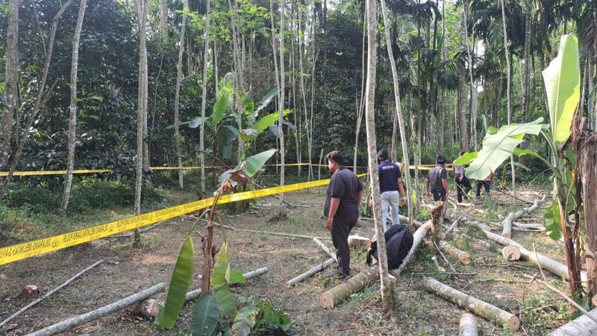 Gara-Gara Daun Nangka, Kerabat di Lumajang Duel Carok hingga 1 Tewas