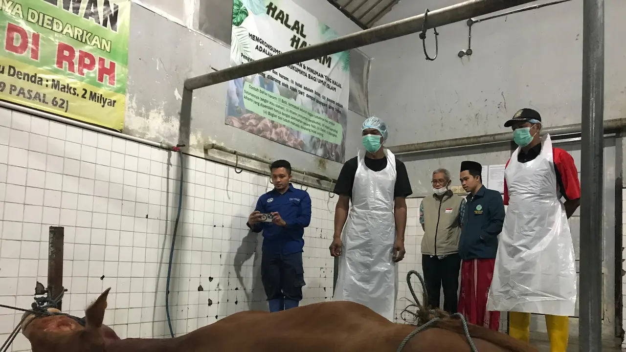 Seluruh RPH di Banyuwangi Dinyatakan Lolos Audit Sertifikasi Halal ...