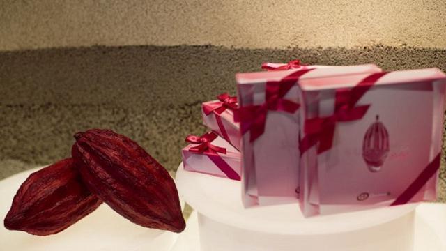Terkeren 19+ Gambar Buah Coklat Valentine Lucu