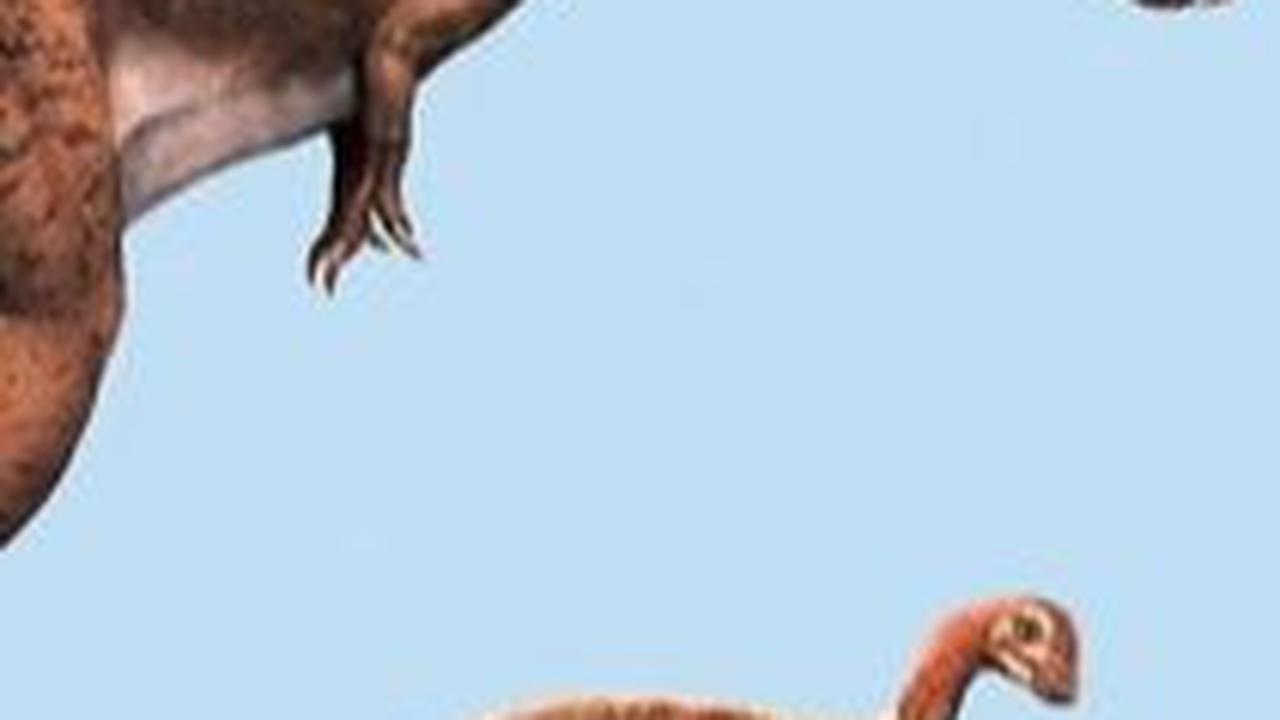 Berasal dari Jenis T-Rex