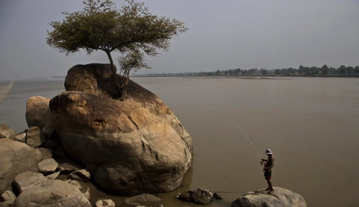Seorang nelayan berdiri di atas batu dan menangkap ikan di sungai Brahmaputra di desa Kasoshila di pinggiran Gauhati, India (21/10/2019). Brahmaputra adalah salah satu sungai terbesar di Asia, yang melewati wilayah Tibet China, India, dan Bangladesh sebelum konvergen ke Teluk Benggala. (AP Photo/Anu
