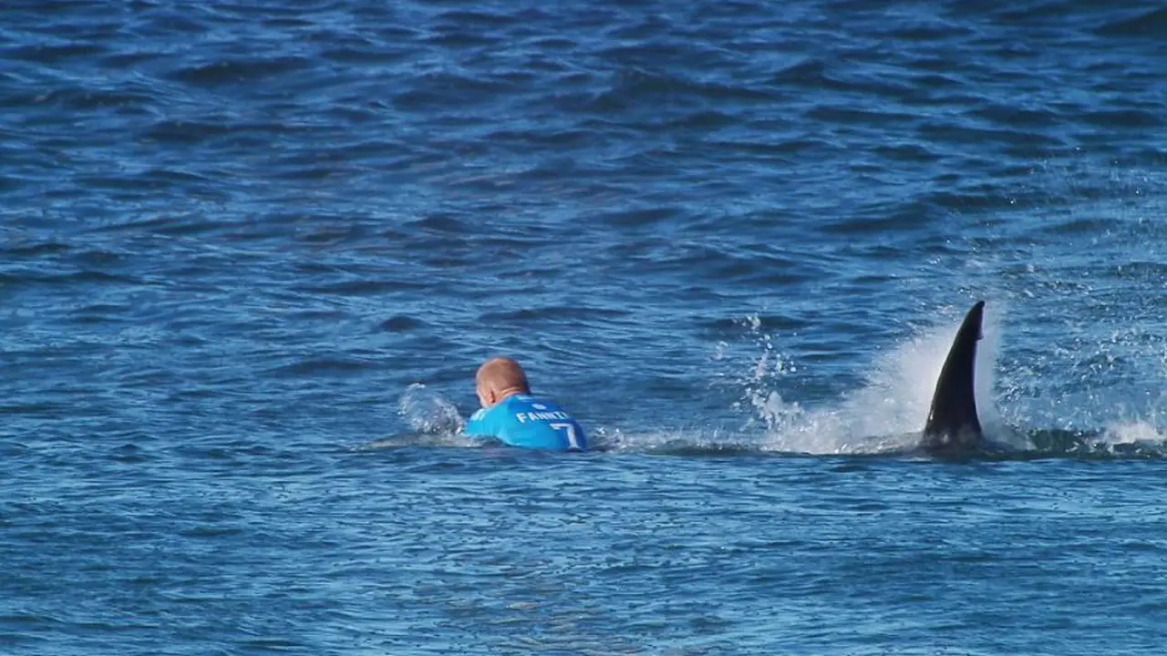 Mick Fanning 