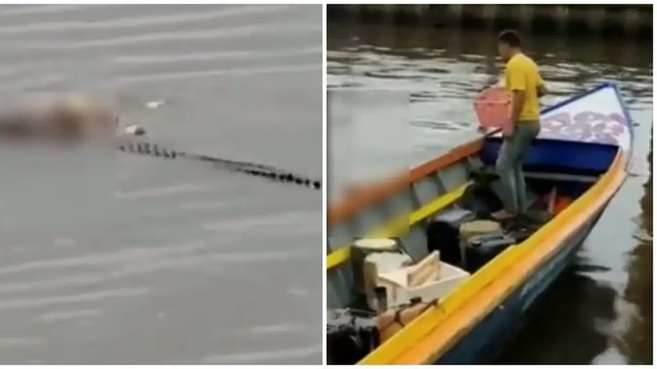 Viral Seekor Buaya 'Antar' Jasad Balita di Sungai Mahakam, Ini Kronologisnya