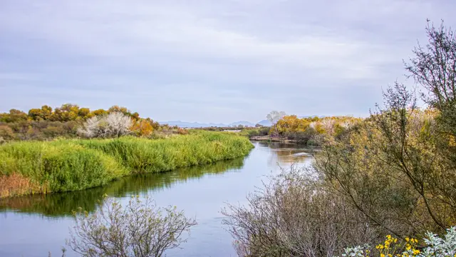Yuma, Arizona