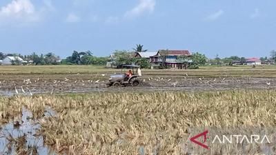 Bupati Sidrap Airi Sawah Terdampak Kemarau, Jaga Produktivitas Pangan Nasional