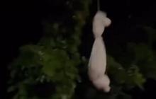 Viral Teror Pocong di Pinggir Jalan Dumai Riau Tengah Malam, Bikin Resah Warga