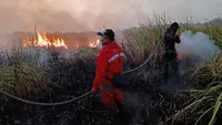 Kebakaran Way Kambas Belum Usai, Titik Api Kembali Muncul