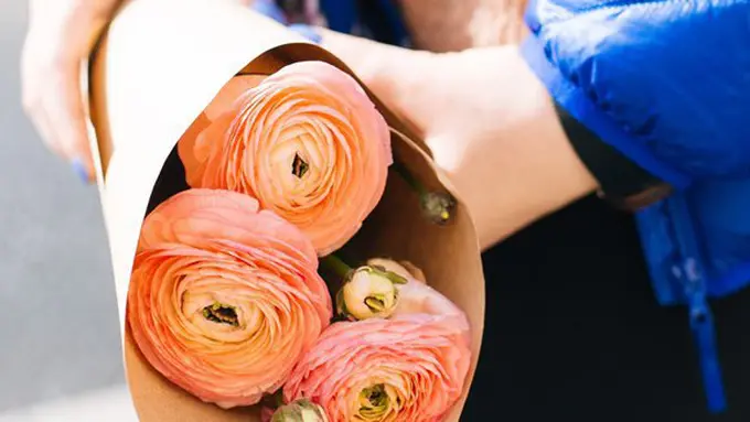 Ilustrasi./Copyright pexels.com/Daria Shevtsova