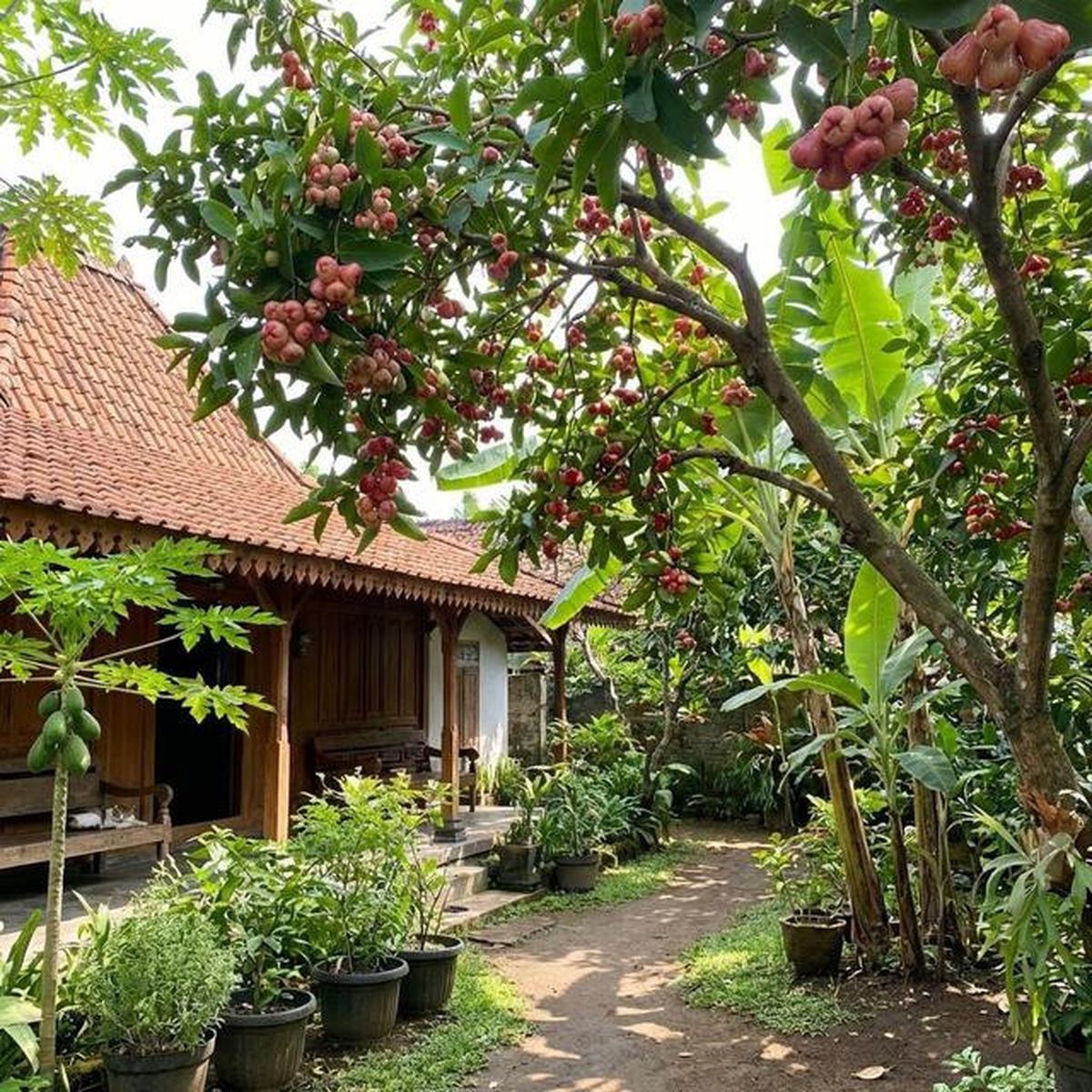 Buah Apa yang Cocok Ditanam di Halaman Belakang? Berikut 10 Tanaman Favorit Keluarga
