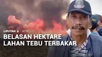 Kebakaran Hanguskan Belasan Hektare Lahan Tebu Siap Panen di Jember