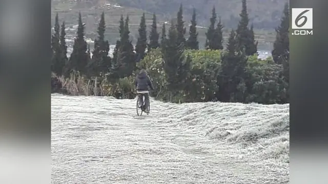 VIDEO: Viral, Ada 'Salju' Turun di Dieng