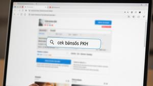Cara Resmi Daftar Perlinsos Digital untuk Bansos 2027, Hindari Jebakan Phishing