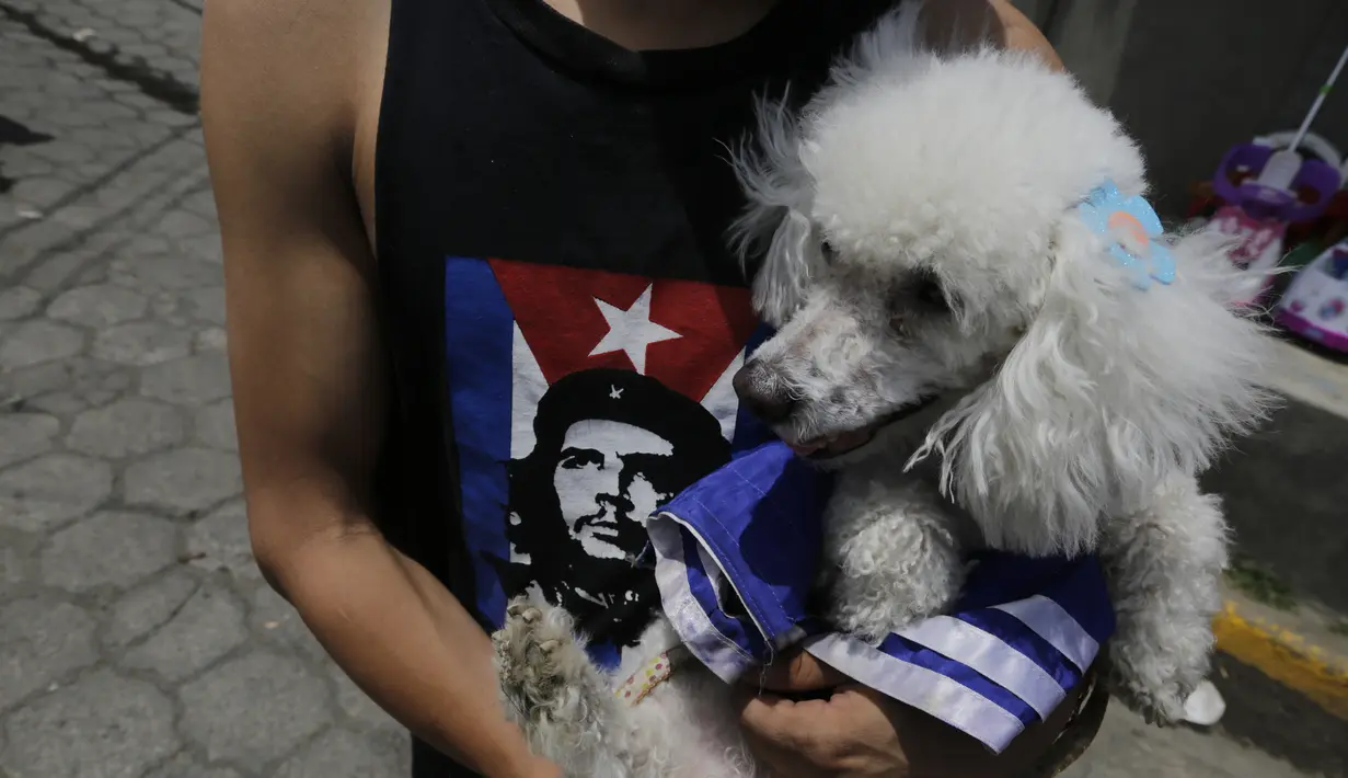 Seorang pria mendandani anjingnya untuk menghadiri misa San Lazaro di Monimbo, Masaya, Nikaragua (18/3). Para anjing ini mengenakan kostum saat menghadiri misa untuk menghormati orang suci. (AFP/Inti Ocon)