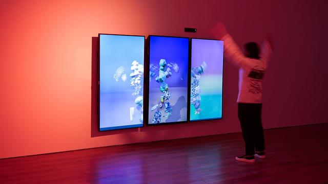 Mengeksplorasi Keanekaragaman Hayati Indonesia Lewat Hutan Virtual di Museum Macan