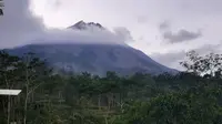 Gunung Merapi menyemburkan awan panas. (Dok BPPTKG)