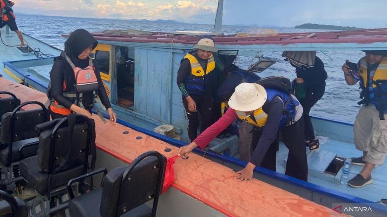 Momen Dramatis 7 Orang Selamat: Tim SAR Gabungan Berhasil Evakuasi Peneliti BRIN di Selat Nasik Belitung