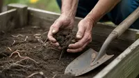Cara Mengolah Tanah agar Subur dan Gembur: Panduan Lengkap untuk Lahan dan Kebun