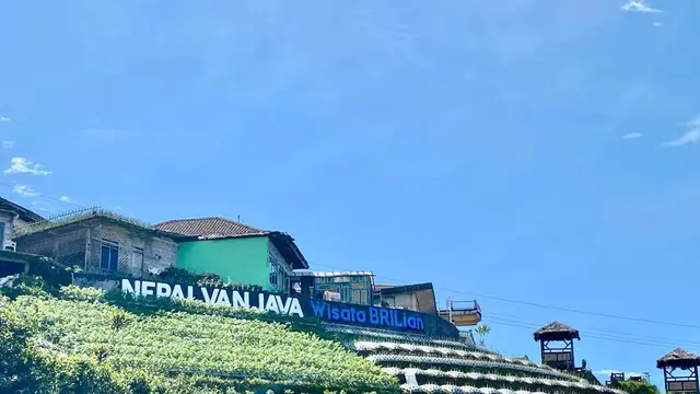 Desa BRILian.