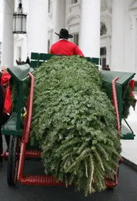 obama christmas tree2