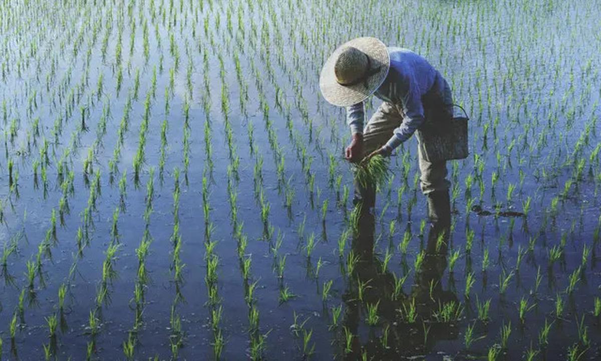 Apa Dampak Badai Lanina? Indonesia Dilanda Curah Hujan Tinggi