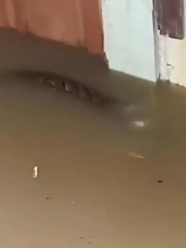 Penampakan Ular Piton Saat Banjir